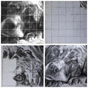 Heres a free lesson on how to use the classic grid method to create a drawing from a photograph, or anything else. Check it out at Learn-To-Draw-Lessons.com 