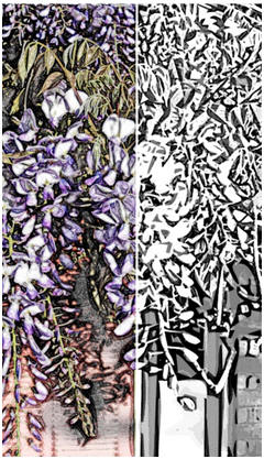 Wisteria at the Door - Create a colored image or watercolor painting with the help of a unique, free coloring page from TodaysArts.net