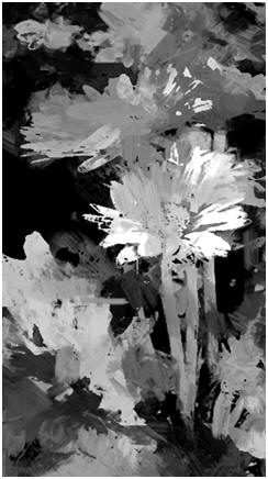 Backyard Flowers Abstract - One of six, free 8x10 black and white wall art prints available today. Please repin this image or bookmark its page and check back often. New free prints are added all of the time.