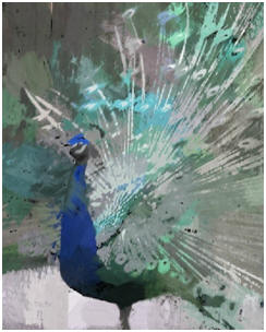 Download a free, semi-abstract wall art print of a strutting peacock with blue, indago, aqua, teal, gray and mauve tones.