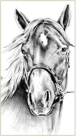 Learn how to draw pets, farm animals and wildlife. Take free online lessons from talented artists.