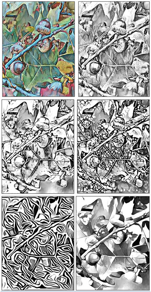 Print and Color Any of Five Free Coloring Pages: Fall Acorns, by Don Berg at TodaysArts.net