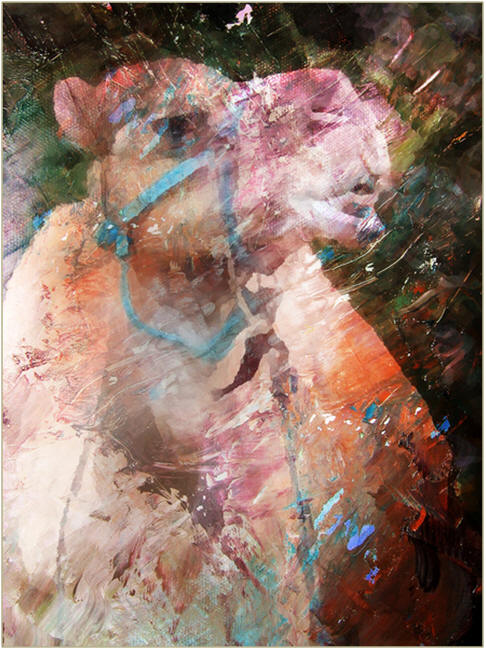 The Tethered Camel - An abstract painting by PhotoFaceFun.com from an art practice sketch that you can print for free.