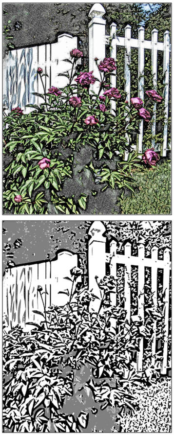Download a free coloring page or watercolor sketch of The Garden Fence.