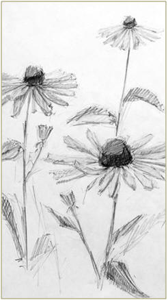 Enjoy Free Online Lessons on Drawing Lansscapes and Nature Scenes